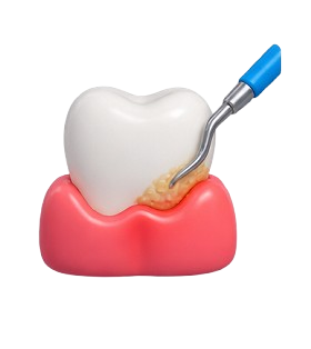 Gum & Periodontal Care