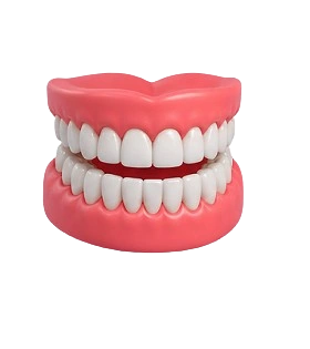 Full-Mouth Rehabilitation